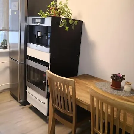 Big Scandinavian Apartment- Balticum Biggest Park *